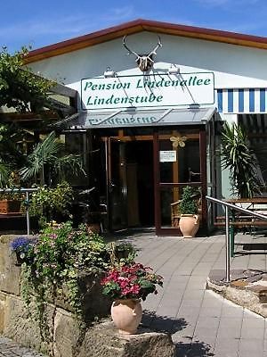 Pension Lindenallee Neuendettelsau المظهر الخارجي الصورة